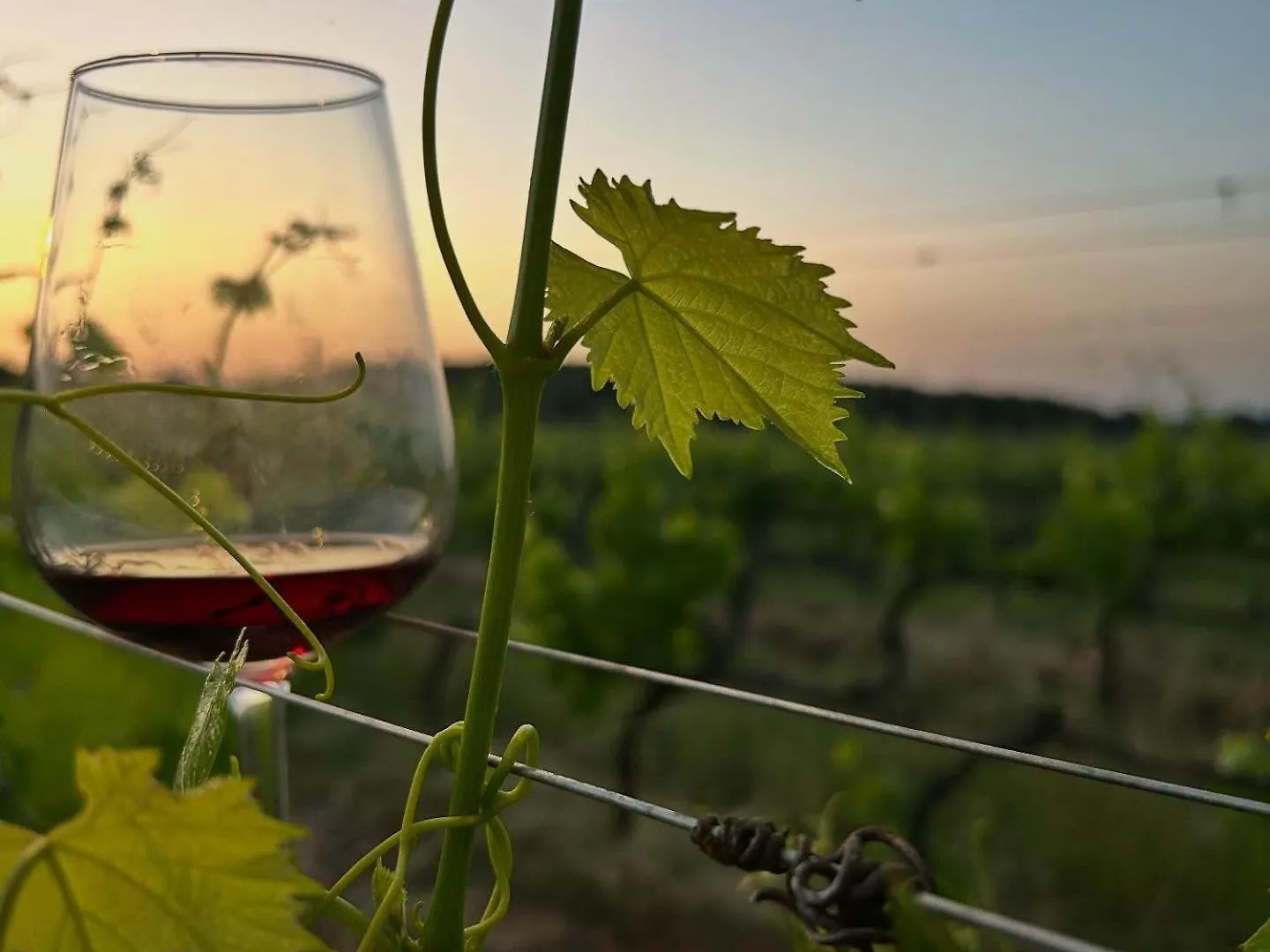 아파트 Podere Casanova & Wine Experience - Montepulciano Stazione 이탈리아