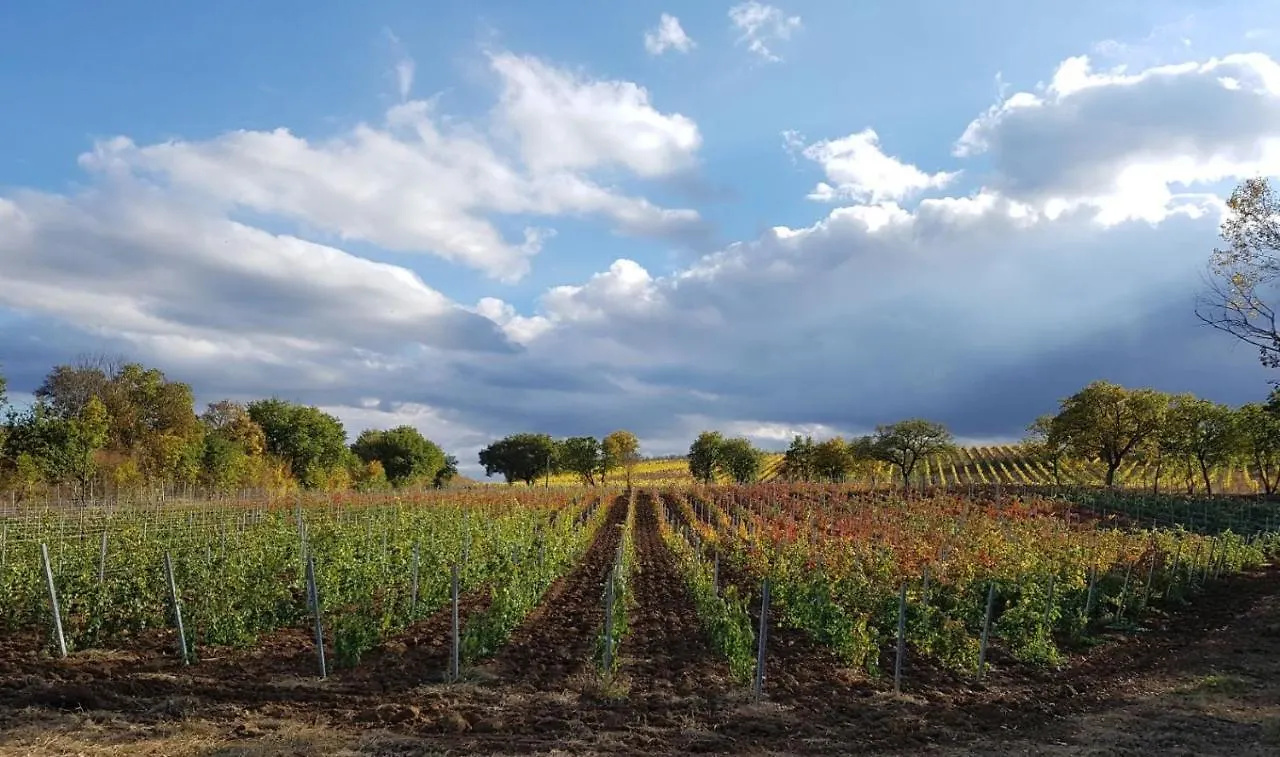 Podere Casanova & Wine Experience - Montepulciano 0*,