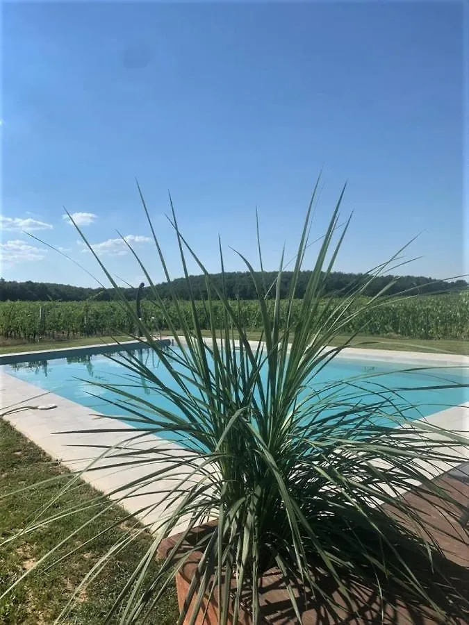 Podere Casanova & Wine Experience - Montepulciano Italy