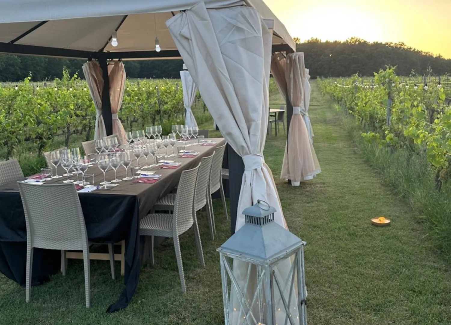Podere Casanova & Wine Experience - Montepulciano Apartment