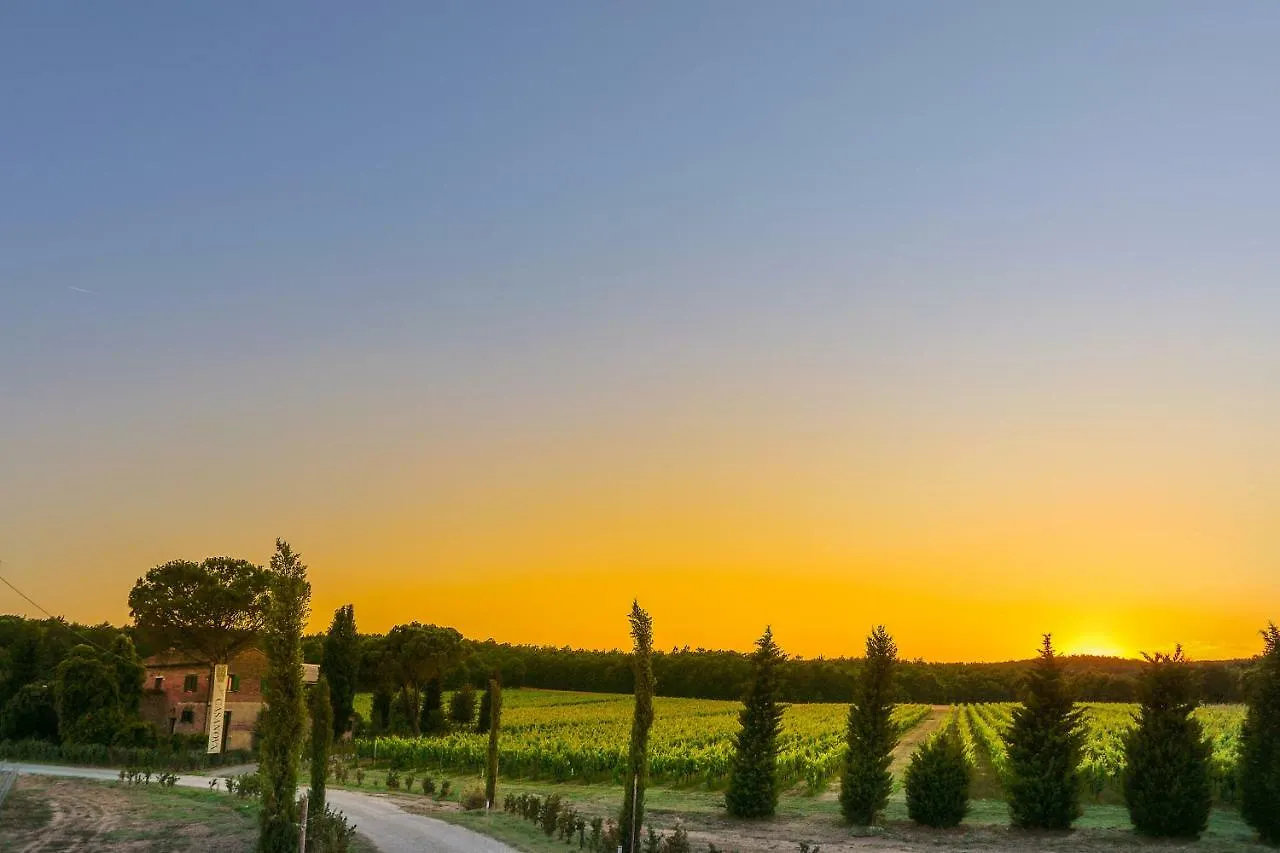 Apartment Podere Casanova & Wine Experience - Montepulciano