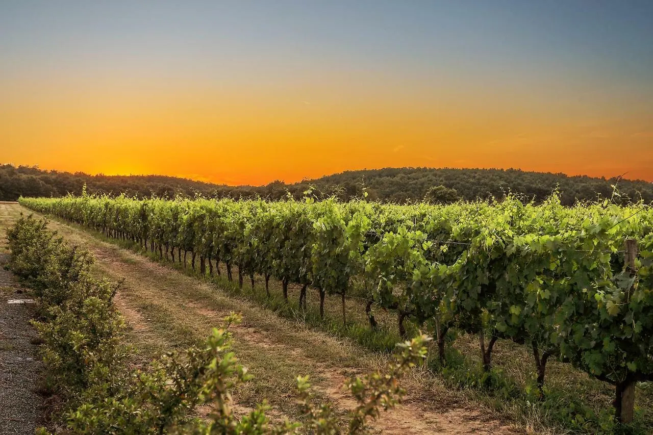 Podere Casanova & Wine Experience - Montepulciano