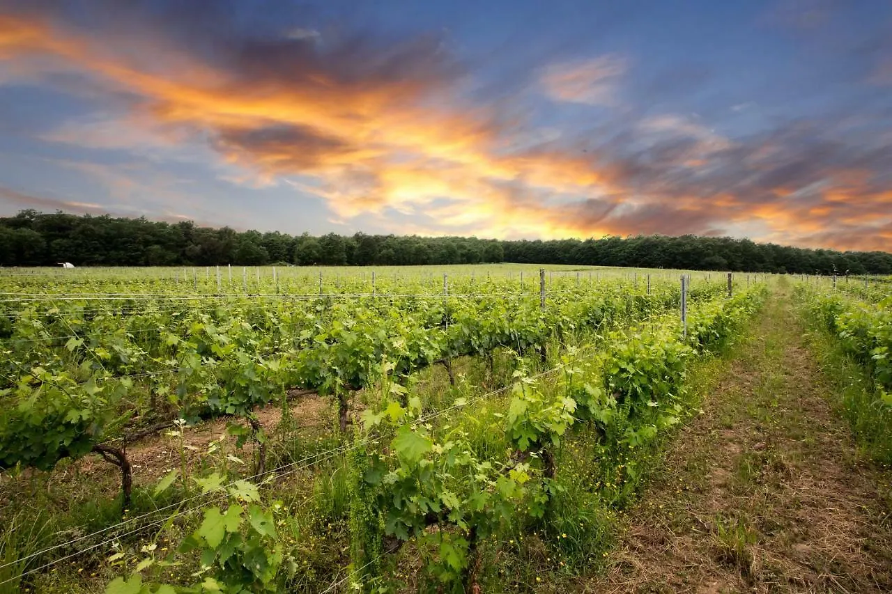 Podere Casanova & Wine Experience - Montepulciano